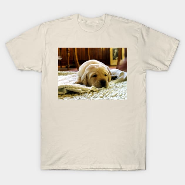 LR yellow puppy sleeping T-Shirt by Wanderingangel